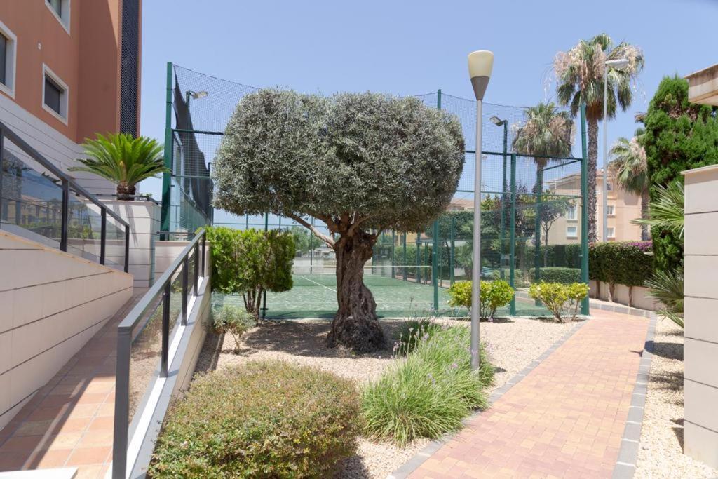 Jardines De Marinas Premium